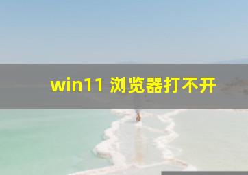 win11 浏览器打不开